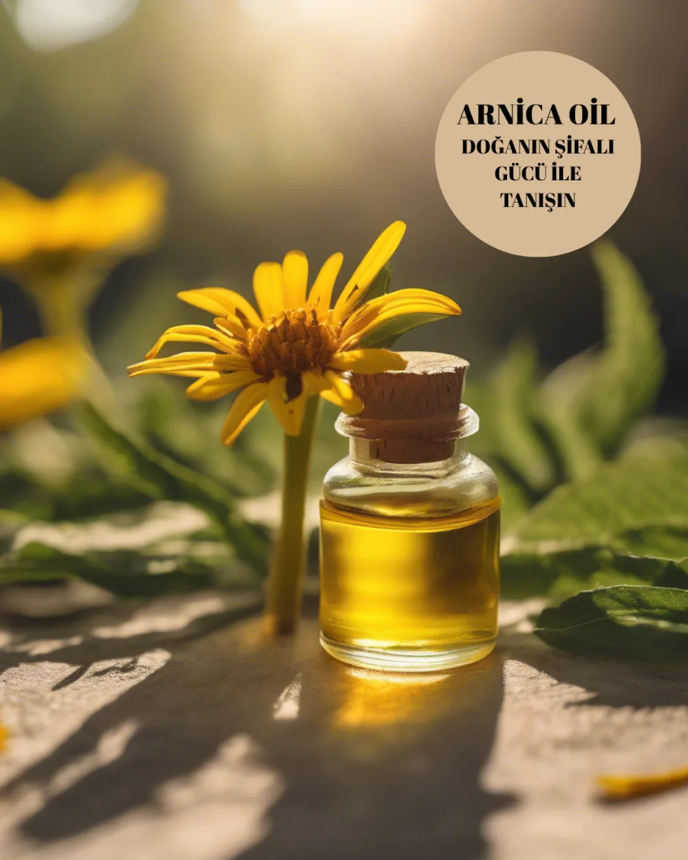 Phytoliquid™ Arnica EC 100 gr - Görsel 3