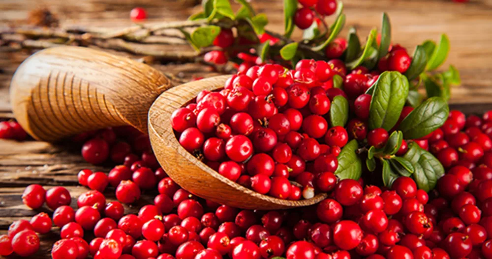 Cranberry Pro Kızılcık Özütü 200 GR - Görsel 3
