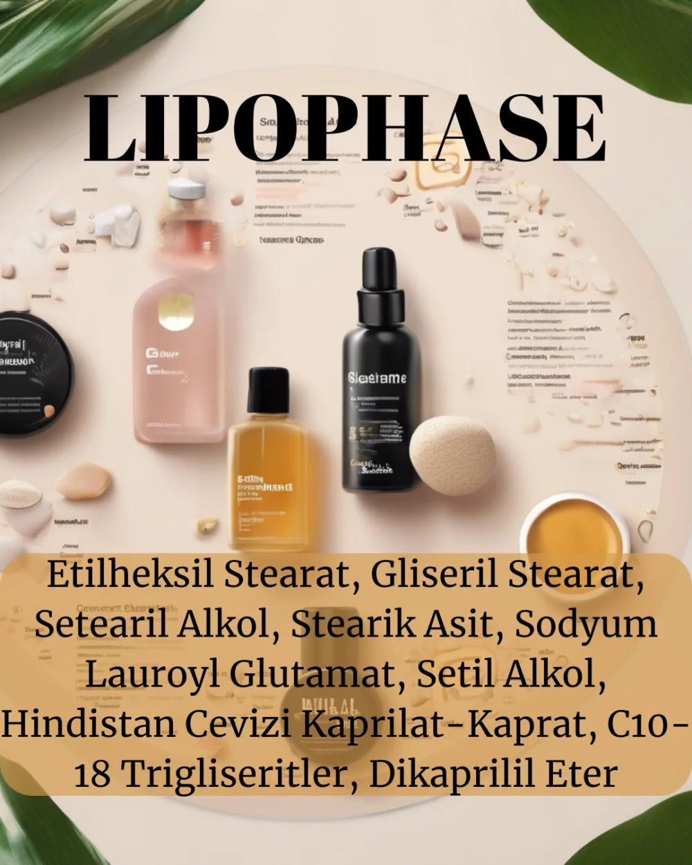 LIPOPHASE lipit fazı 200 gr - Görsel 3